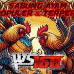 sabung-ayam-ws168-fenomena-taruhan-yang-tidak-pernah-padam
