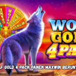 Wolf Gold 4 Pack Panen Maxwin Beruntun
